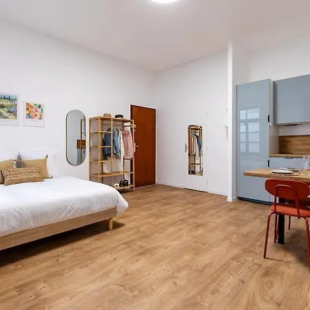 Tres Chic Studio/petite France Apartment