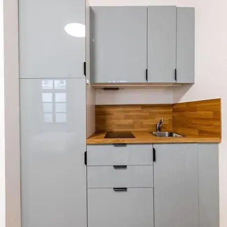 Tres Chic Studio/petite France Apartment *